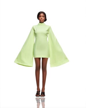 Lola Flare Sleeve Mini Dress