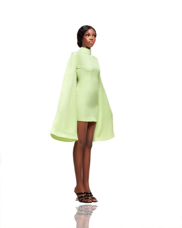 Lola Flare Sleeve Mini Dress - Image 3