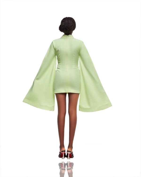 Lola Flare Sleeve Mini Dress - Image 2